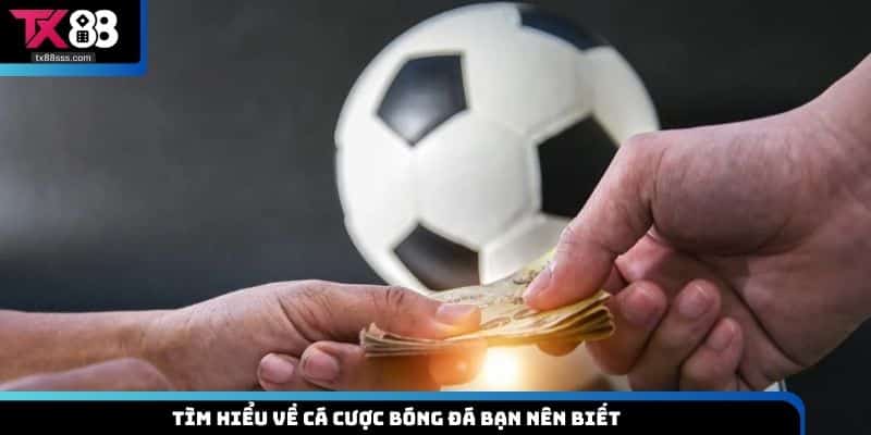 Cá Cược Bóng Đá TX88 - Bí Quyết Soi Kèo Cực Đỉnh