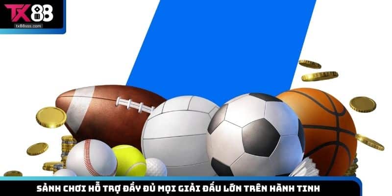 Thể Thao IM - Sảnh Cá Độ Uy Tín, Tỷ Lệ Kèo Cực Đã