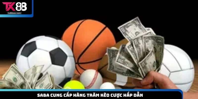 Thể Thao Saba - Thương Hiệu Cá Cược Hàng Đầu Hiện Nay