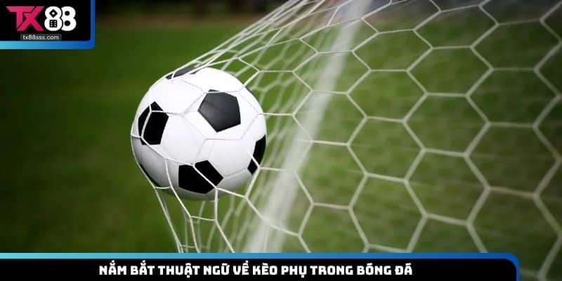 Thuật Ngữ Cá Độ Bóng Đá -Thông Tin Quan Trọng Bạn Nên Biết
