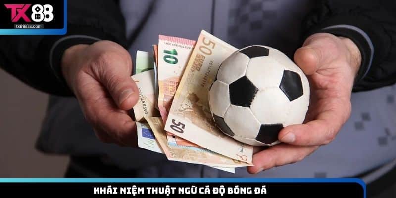 Thuật Ngữ Cá Độ Bóng Đá -Thông Tin Quan Trọng Bạn Nên Biết