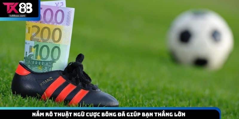 Thuật Ngữ Cá Độ Bóng Đá -Thông Tin Quan Trọng Bạn Nên Biết