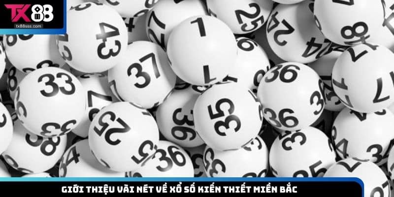 Xổ Số Miền Bắc - Hình Thức Mở Thưởng Hấp Dẫn Thưởng Cao