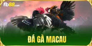 Game FB88 - FB88 Nhà Cái