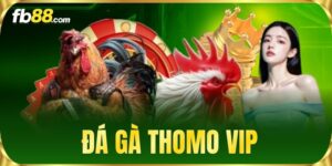 Game FB88 - FB88 Nhà Cái