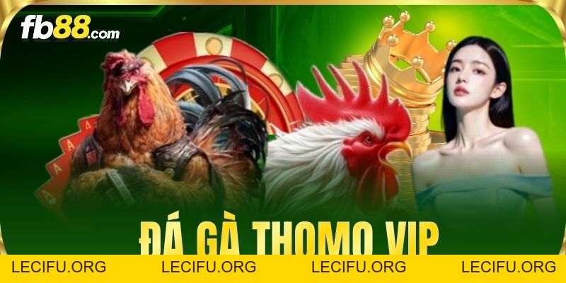 Đá Gà Thomo VIP FB88 – Sân Chơi Cá Cược Uy Tín Nhất