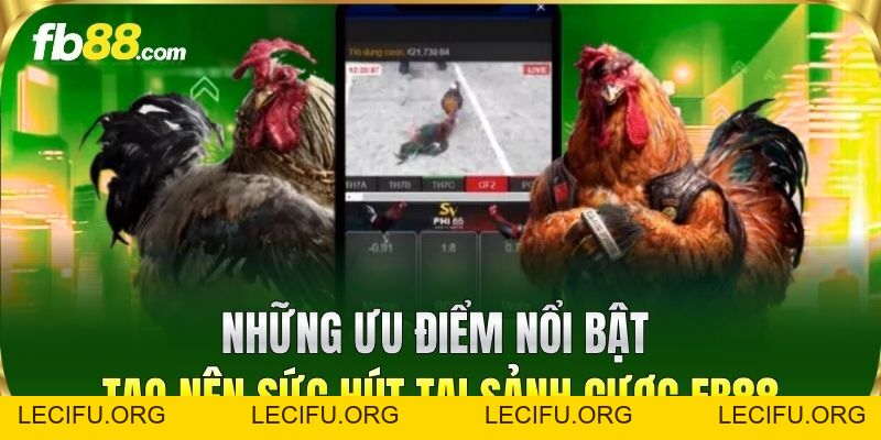 Đá Gà Thomo VIP FB88 – Sân Chơi Cá Cược Uy Tín Nhất